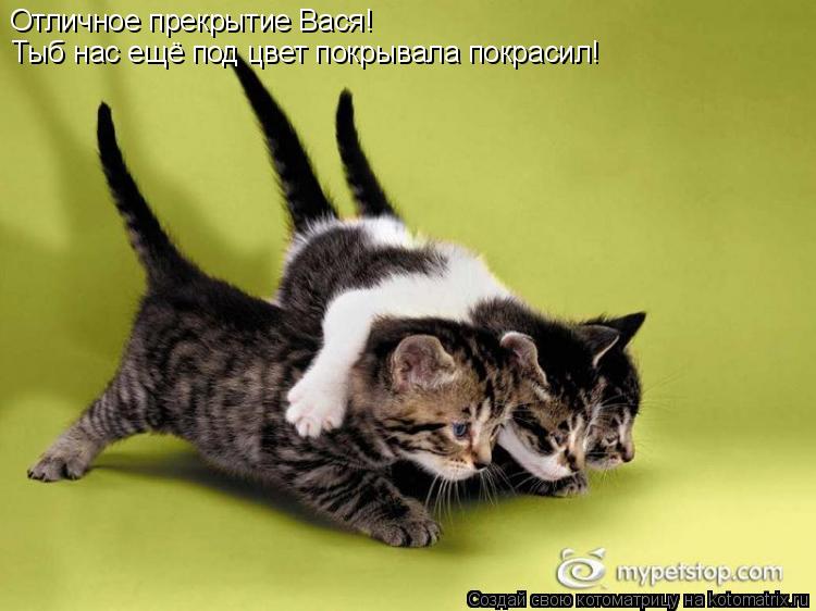 Отличное прекрытие Вася! Тыб нас ещё под цвет покрывала покрасил!... Котоматрица: Отличное прекрытие Вася! Тыб нас ещё под цвет покрывала покрасил!