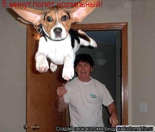 5 минут,полёт нормльный!... Котоматрица: 5 минут,полёт нормльный!