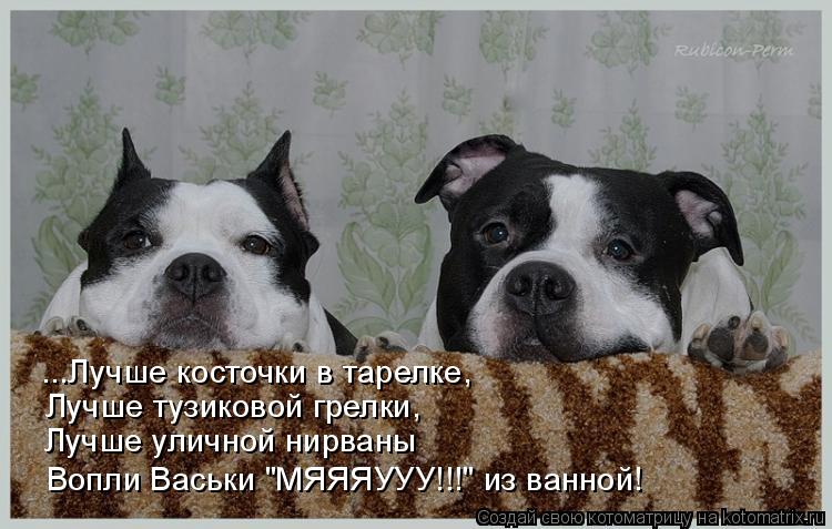 ...Лучше косточки в тарелке, Лучше тузиковой грелки, Лучше уличной нирваны Вопли Васьки "МЯЯЯУУУ!!!" ... Котоматрица: ...Лучше косточки в тарелке, Лучше тузиковой грелки, Лучше уличной нирваны Вопли Васьки "МЯЯЯУУУ!!!" из ванной!