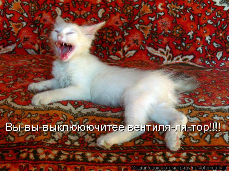 Вы-вы-выклююючитее вентиля-ля-тор!!!!... Котоматрица: Вы-вы-выклююючитее вентиля-ля-тор!!!!