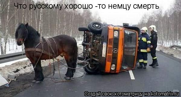 Что русскому хорошо -то немцу смерть... Котоматрица: Что русскому хорошо -то немцу смерть