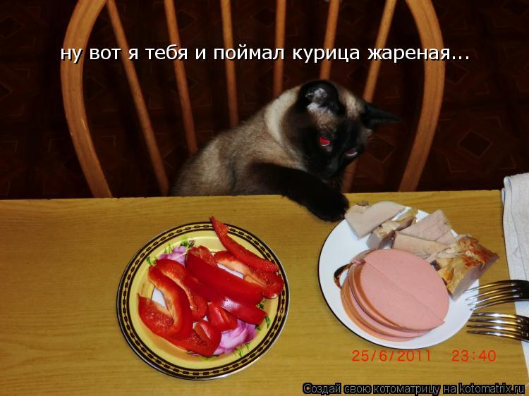 ну вот я тебя и поймал курица жареная...... Котоматрица: ну вот я тебя и поймал курица жареная...