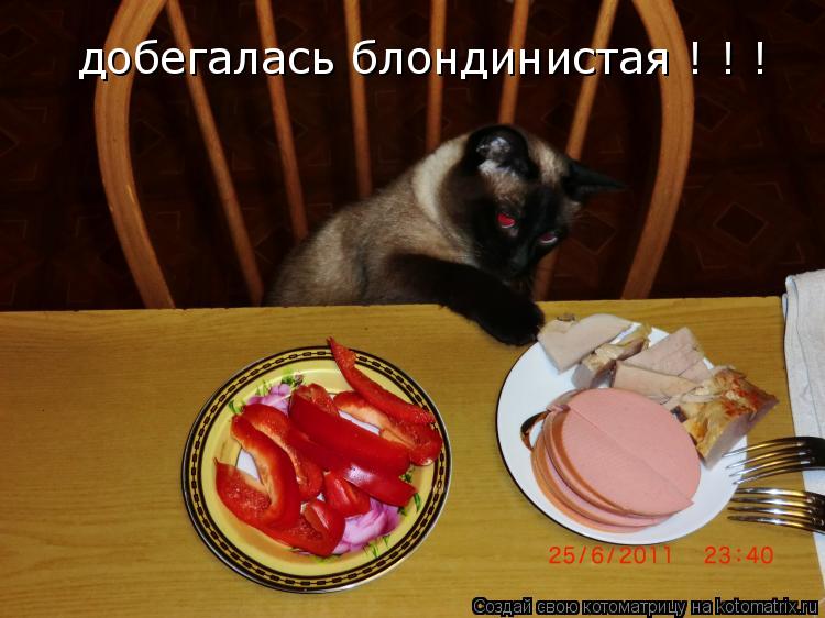 добегалась блондинистая ! ! !... Котоматрица: добегалась блондинистая ! ! !