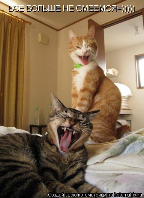 ВСЕ БОЛЬШЕ НЕ СМЕЕМСЯ=)))))... Котоматрица: ВСЕ БОЛЬШЕ НЕ СМЕЕМСЯ=)))))