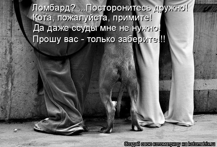 Ломбард? ...Посторонитесь дружно! Кота, пожалуйста, примите! Да даже ссуды мне не нужно! Прошу вас - ... Котоматрица: Ломбард? ...Посторонитесь дружно! Кота, пожалуйста, примите! Да даже ссуды мне не нужно! Прошу вас - только заберите!!!
