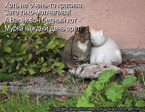 Хоть не очень-то красива, Зато тихо-молчалива! А Васёк вон бедный кот - Мурка каждый день орёт!... Котоматрица: Хоть не очень-то красива, Зато тихо-молчалива! А Васёк вон бедный кот - Мурка каждый день орёт!