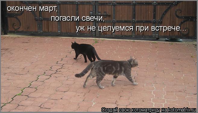 окончен март, погасли свечи, уж не целуемся при встрече...... Котоматрица: окончен март, погасли свечи, уж не целуемся при встрече...