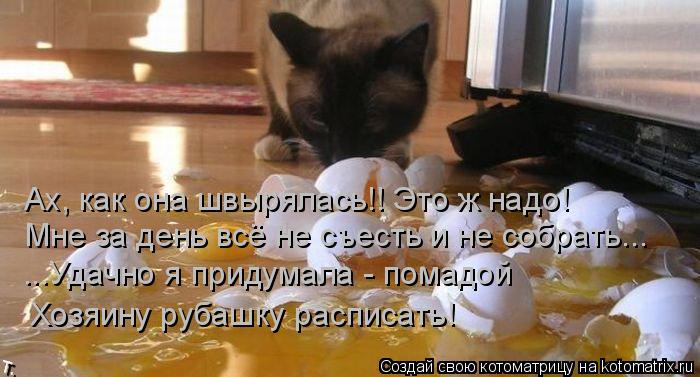 Ах, как она швырялась!! Это ж надо! Мне за день всё не съесть и не собрать... ...Удачно я придумала -... Котоматрица: Ах, как она швырялась!! Это ж надо! Мне за день всё не съесть и не собрать... ...Удачно я придумала - помадой Хозяину рубашку расписать!