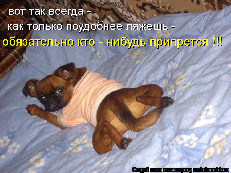 вот так всегда - как только поудобнее ляжешь - обязательно кто - нибудь припрется !!!... Котоматрица: вот так всегда - как только поудобнее ляжешь - обязательно кто - нибудь припрется !!!