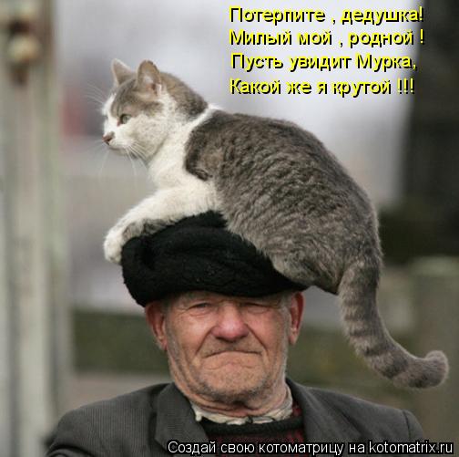 Потерпите , дедушка! Милый мой , родной ! Пусть увидит Мурка, Какой же я крутой !!!... Котоматрица: Потерпите , дедушка! Милый мой , родной ! Пусть увидит Мурка, Какой же я крутой !!!
