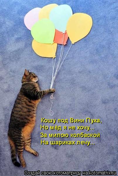 Кошу под Вини Пуха, Но мёд я не хочу... За милою колбаской На шариках лечу...... Котоматрица: Кошу под Вини Пуха, Но мёд я не хочу... За милою колбаской На шариках лечу...