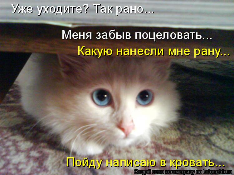 Уже уходите? Так рано... Меня забыв поцеловать... Пойду написаю в кровать... Какую нанесли мне рану..... Котоматрица: Уже уходите? Так рано... Меня забыв поцеловать... Пойду написаю в кровать... Какую нанесли мне рану...
