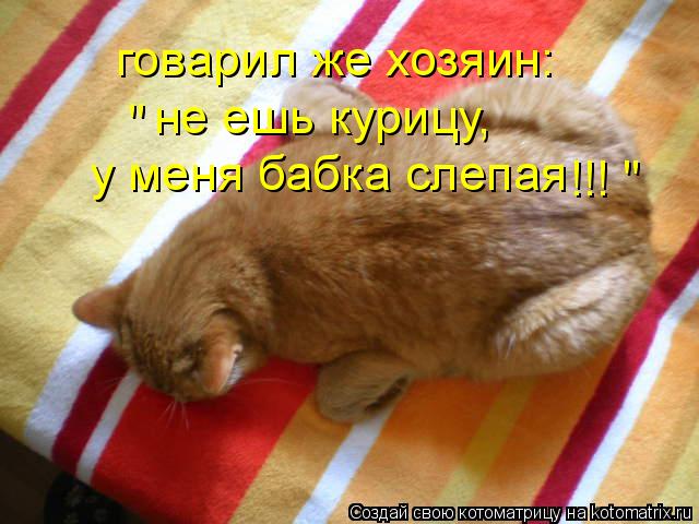 говарил же хозяин: не ешь курицу, у меня бабка слепая " !!! "... Котоматрица: говарил же хозяин: не ешь курицу, у меня бабка слепая " !!! "