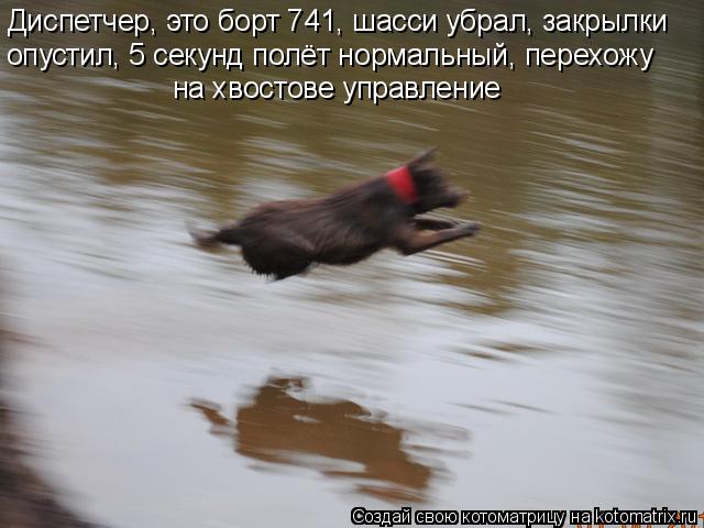 Диспетчер, это борт 741, шасси убрал, закрылки опустил, 5 секунд полёт нормальный, перехожу на хвос... Котоматрица: Диспетчер, это борт 741, шасси убрал, закрылки опустил, 5 секунд полёт нормальный, перехожу на хвостове управление