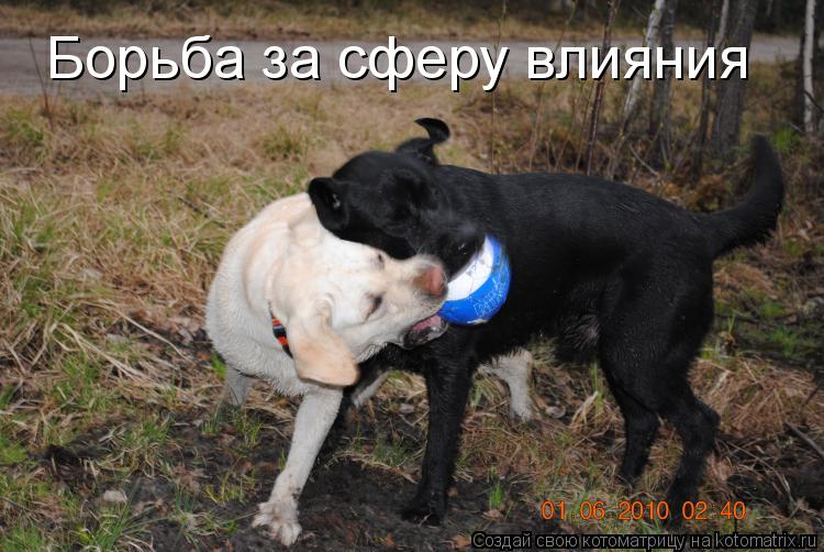 Борьба за сферу влияния... Котоматрица: Борьба за сферу влияния