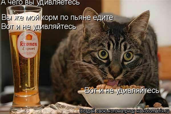 А чего вы удивляетесь Вы же мой корм по пьяне едите Вот и не удивляйтесь Вот и не удивляйтесь... Котоматрица: А чего вы удивляетесь Вы же мой корм по пьяне едите Вот и не удивляйтесь Вот и не удивляйтесь