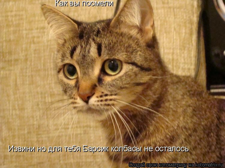 Как вы посмели Извини но для тебя Барсик колбасы не осталось... Котоматрица: Как вы посмели Извини но для тебя Барсик колбасы не осталось