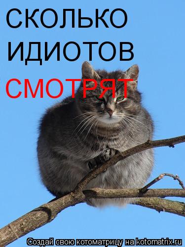 СКОЛЬКО ИДИОТОВ СМОТРЯТ... Котоматрица: СКОЛЬКО ИДИОТОВ СМОТРЯТ