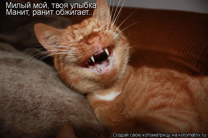 Милая я улыбка Милый мой, твоя улыбка Манит, ранит обжигает...... Котоматрица: Милая я улыбка Милый мой, твоя улыбка Манит, ранит обжигает...