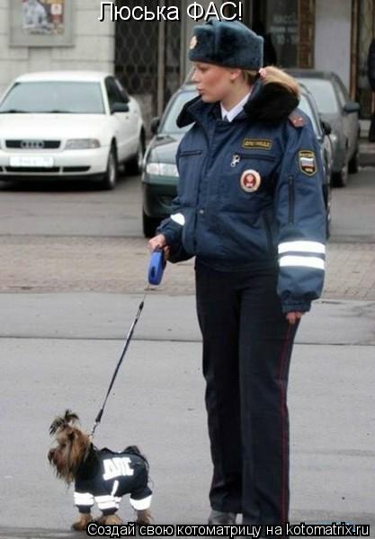 Люська ФАС!... Котоматрица: Люська ФАС!