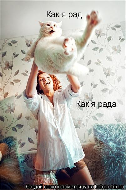 Как я рада Как я рад... Котоматрица: Как я рада Как я рад