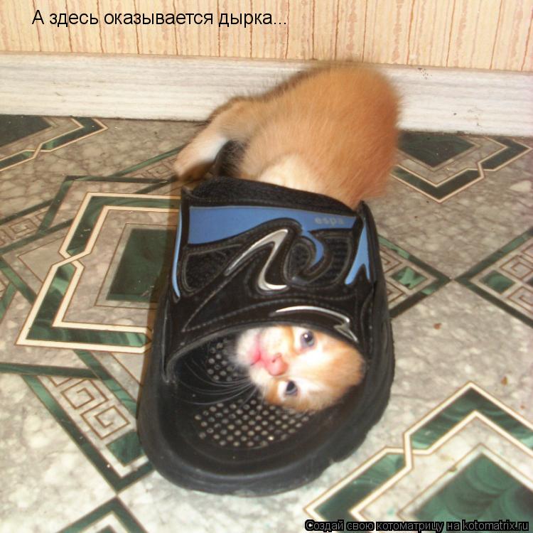 А здесь оказывается дырка...... Котоматрица: А здесь оказывается дырка...