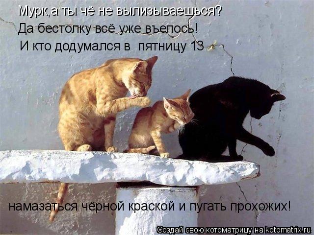 Мурк,а ты чё не вылизываешься? Да бестолку всё уже въелось! И кто додумался в пятницу 13 намазаться... Котоматрица: Мурк,а ты чё не вылизываешься? Да бестолку всё уже въелось! И кто додумался в пятницу 13 намазаться чёрной краской и пугать прохожих!