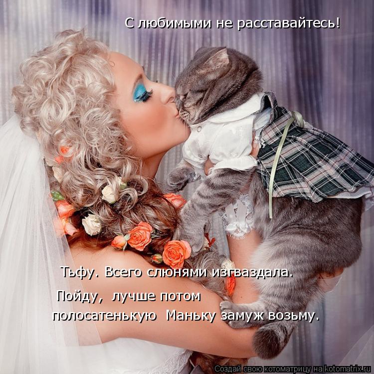 С любимыми не расставайтесь! Тьфу. Всего слюнями изгваздала. Пойду, лучше потом полосатенькую Мань... Котоматрица: С любимыми не расставайтесь! Тьфу. Всего слюнями изгваздала. Пойду, лучше потом полосатенькую Маньку замуж возьму.