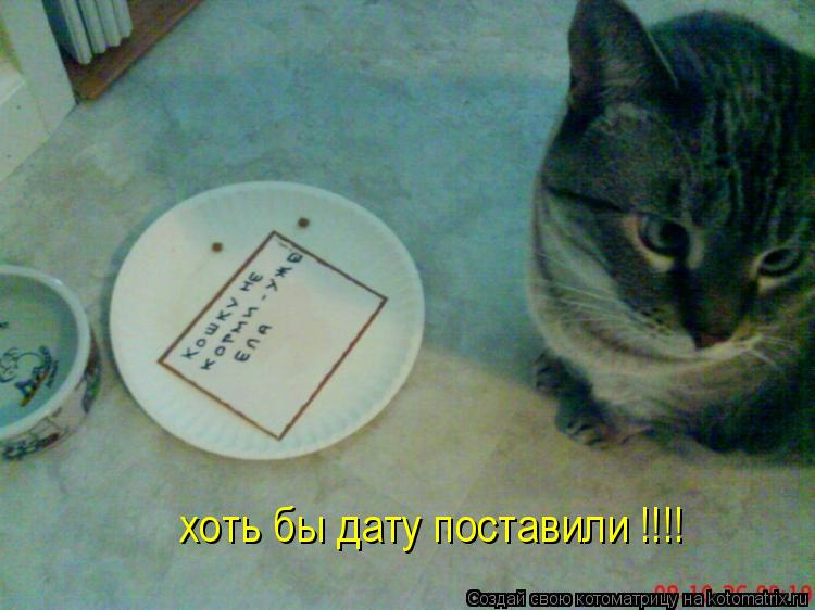 хоть бы дату поставили !!!!... Котоматрица: хоть бы дату поставили !!!!