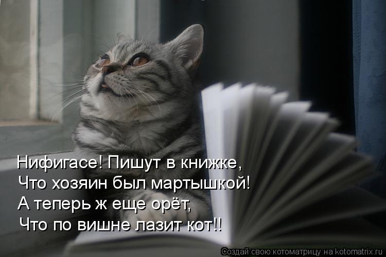 Нифигасе! Пишут в книжке, Что хозяин был мартышкой! А теперь ж еще орёт, Что по вишне лазит кот!!... Котоматрица: Нифигасе! Пишут в книжке, Что хозяин был мартышкой! А теперь ж еще орёт, Что по вишне лазит кот!!