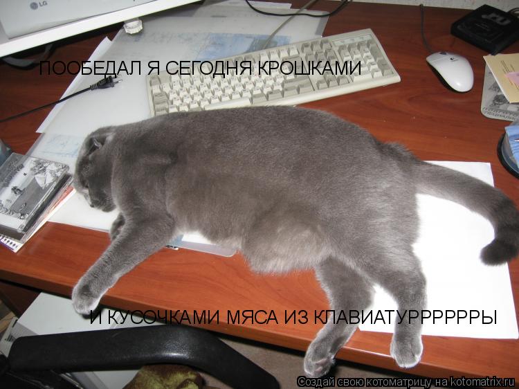 ПООБЕДАЛ Я СЕГОДНЯ КРОШКАМИ И КУСОЧКАМИ МЯСА ИЗ КЛАВИАТУРРРРРРЫ... Котоматрица: ПООБЕДАЛ Я СЕГОДНЯ КРОШКАМИ И КУСОЧКАМИ МЯСА ИЗ КЛАВИАТУРРРРРРЫ