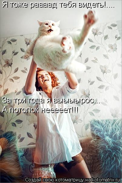 Я тоже раааад тебя видеть!.... За три года я выыыырос... А потолок нееееет!!!... Котоматрица: Я тоже раааад тебя видеть!.... За три года я выыыырос... А потолок нееееет!!!