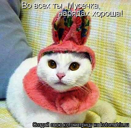 Во всех ты, Мусечка, нарядах хороша!... Котоматрица: Во всех ты, Мусечка, нарядах хороша!