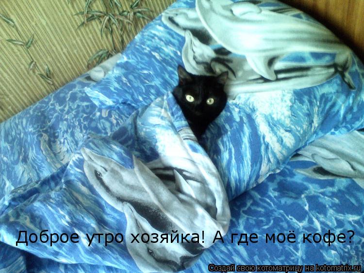 Доброе утро хозяйка! А где моё кофе?... Котоматрица: Доброе утро хозяйка! А где моё кофе?
