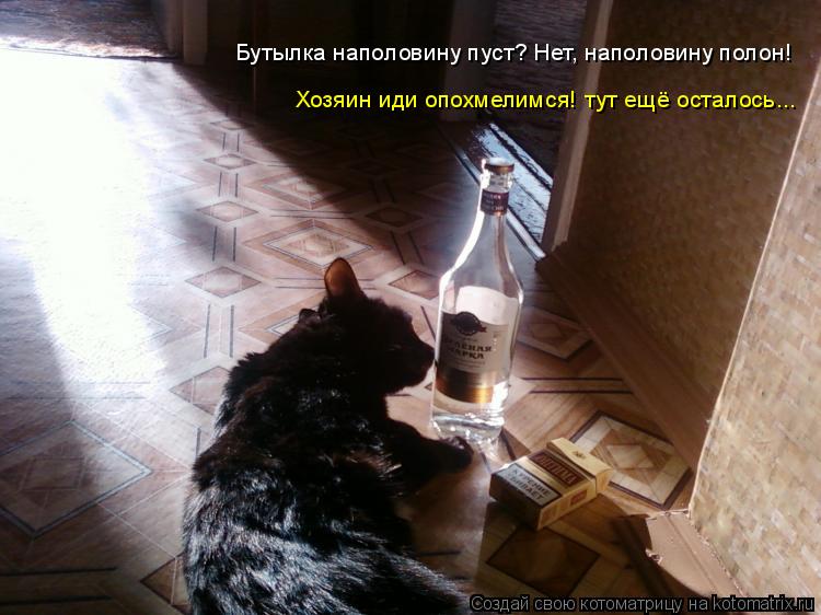 Бутылка наполовину пуст? Нет, наполовину полон! Хозяин иди опохмелимся! тут ещё осталось...... Котоматрица: Бутылка наполовину пуст? Нет, наполовину полон! Хозяин иди опохмелимся! тут ещё осталось...