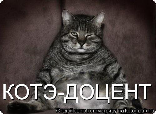 Котоматрица: КОТЭ-ДОЦЕНТ
