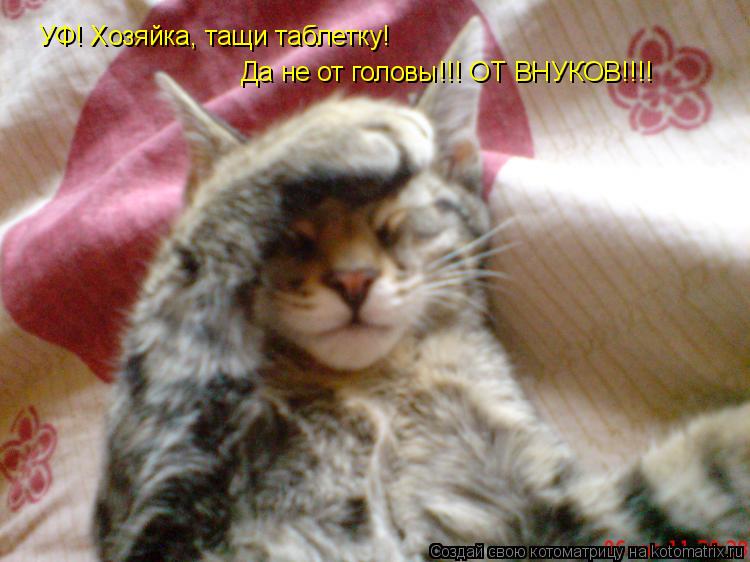 Котоматрица: УФ! Хозяйка, тащи таблетку! Да не от головы!!! ОТ ВНУКОВ!!!!