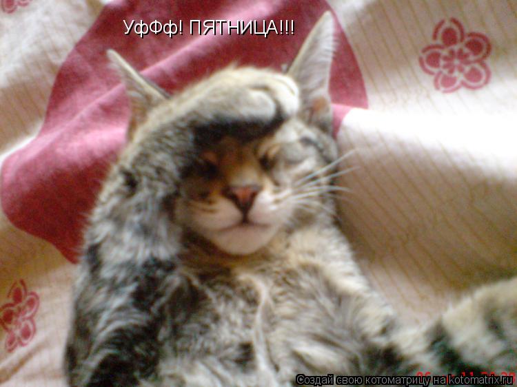 Котоматрица: УфФф! ПЯТНИЦА!!!