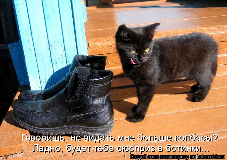Котоматрица: Ладно, будет тебе сюрприз в ботинки... Говоришь, не видать мне больше колбасы?