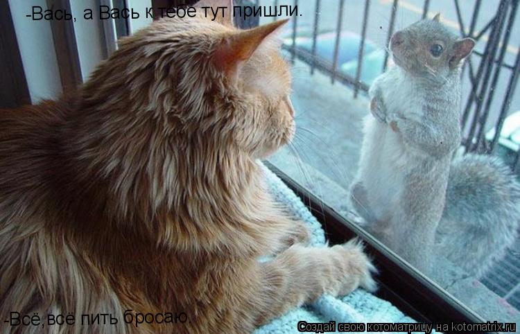 Котоматрица: -Вась, а Вась к тебе тут пришли. -Всё,всё пить бросаю.