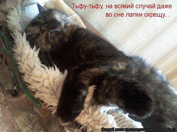 Котоматрица: Тьфу-тьфу, на всякий случай даже во сне лапки скрещу...