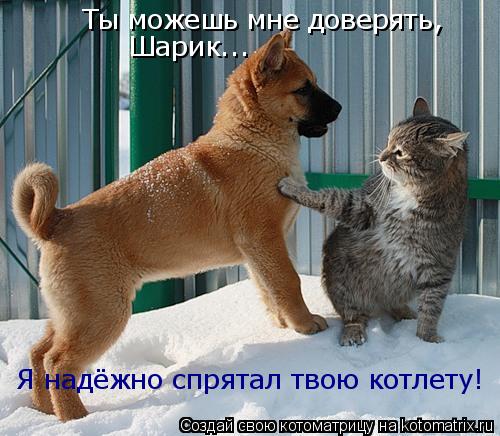 Я надёжно спрятал твою котлету! Ты можешь мне доверять, Шарик...... Котоматрица: Я надёжно спрятал твою котлету! Ты можешь мне доверять, Шарик...