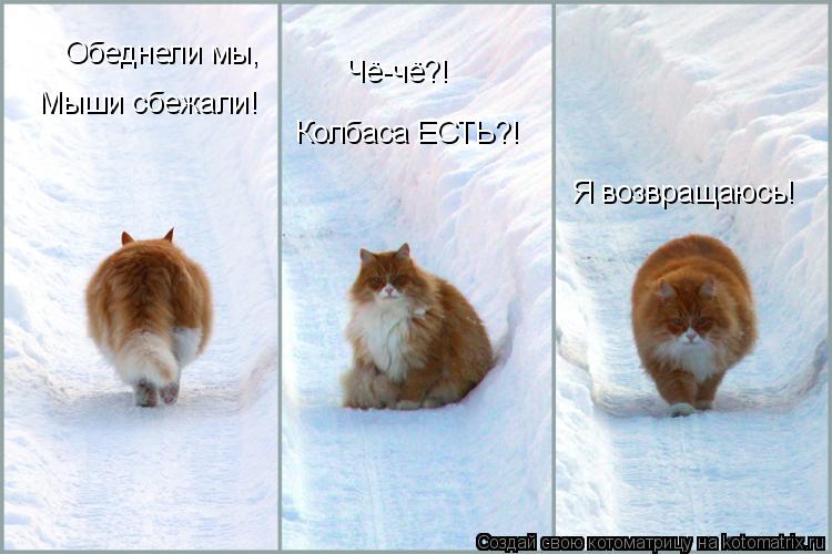 Обеднели мы, Чё-чё?! Мыши сбежали! Колбаса ЕСТЬ?! Я возвращаюсь!... Котоматрица: Обеднели мы, Чё-чё?! Мыши сбежали! Колбаса ЕСТЬ?! Я возвращаюсь!
