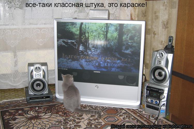 все-таки классная штука, это караоке!... Котоматрица: все-таки классная штука, это караоке!