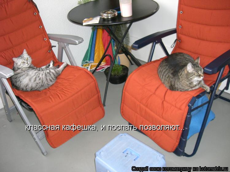 классная кафешка, и поспать позволяют...... Котоматрица: классная кафешка, и поспать позволяют...