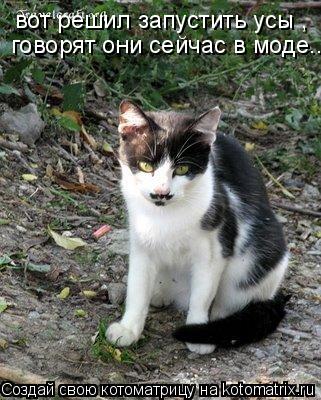 вот решил запустить усы , говорят они сейчас в моде..... Котоматрица: вот решил запустить усы , говорят они сейчас в моде..