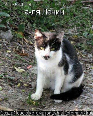 а-ля Ленин... Котоматрица: а-ля Ленин