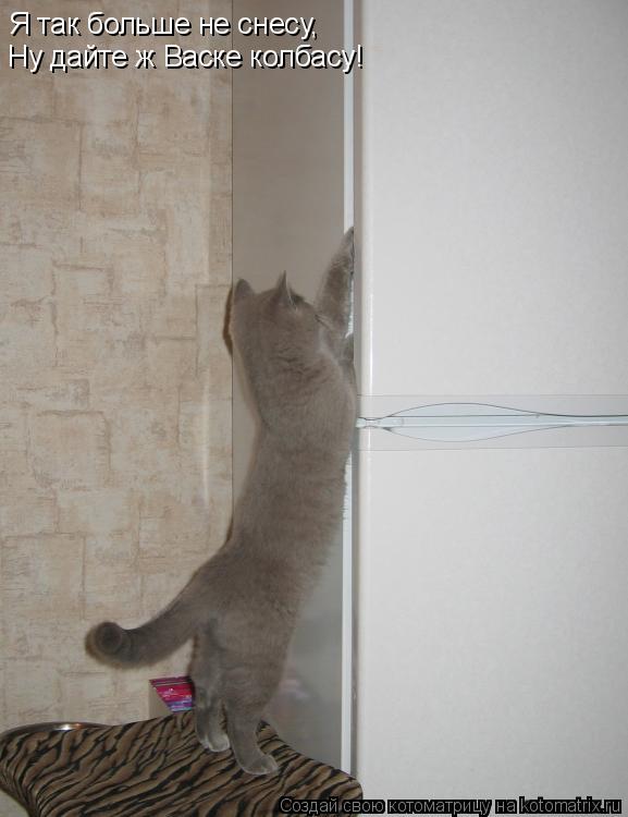 Я так больше не снесу, Ну дайте ж Васке колбасу!... Котоматрица: Я так больше не снесу, Ну дайте ж Васке колбасу!