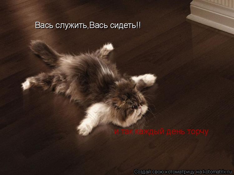 Вась служить,Вась сидеть!! и так каждый день торчу... Котоматрица: Вась служить,Вась сидеть!! и так каждый день торчу