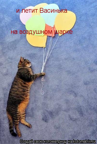 и летит Васинька на воздушном шарке... Котоматрица: и летит Васинька на воздушном шарке